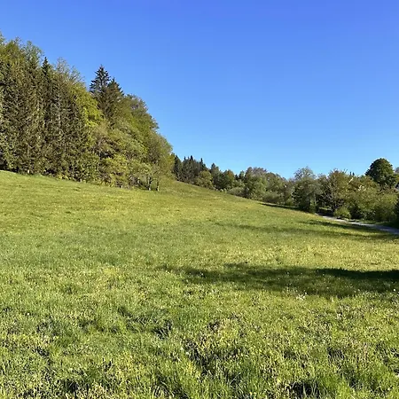 Smart B&b2 Bb2 307 Otel Winterberg